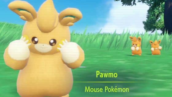 How to Evolve Pawmo into Pawmot in Pokémon Scarlet and Violet